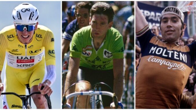 Pogacar-kelly-merckx-768x384